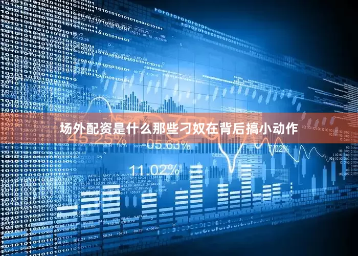 场外配资是什么那些刁奴在背后搞小动作