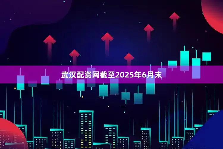 武汉配资网截至2025年6月末