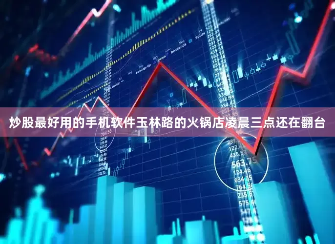 炒股最好用的手机软件玉林路的火锅店凌晨三点还在翻台