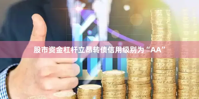 股市资金杠杆立昂转债信用级别为“AA”