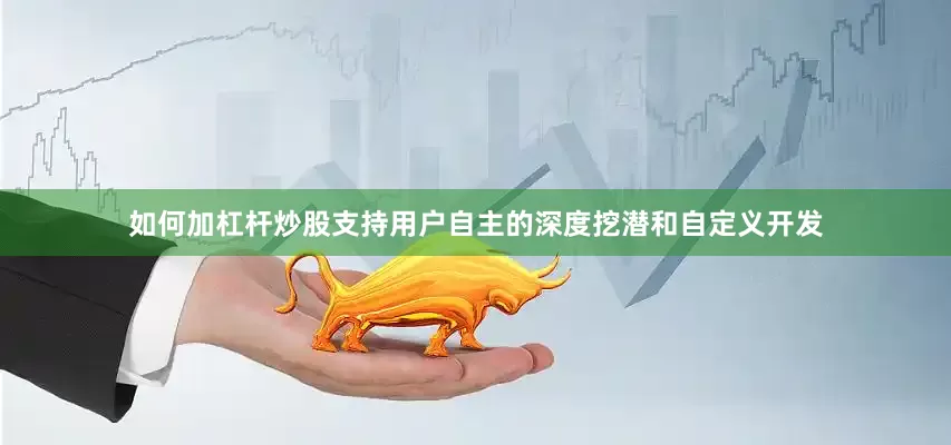 如何加杠杆炒股支持用户自主的深度挖潜和自定义开发